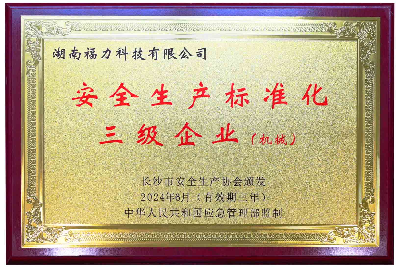 安全生產(chǎn)標(biāo)準(zhǔn)化三級企業(yè)（機(jī)械）